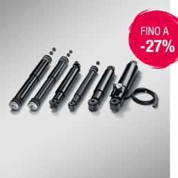 PROMOZIONE MAN LION PLUS