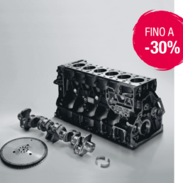 PROMOZIONE MAN LION PLUS