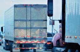 Viabilità urbana per camion: tutto quello che bisogna sapere